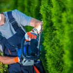 entretien de votre jardin à Paris