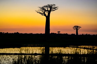 Visite culturelle à Madagascar : 4 lieux clés à voir