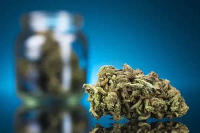 Pourcentages de CBD
